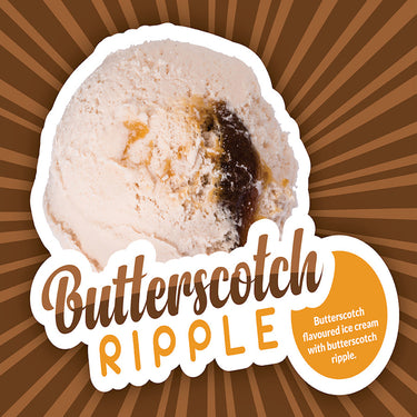 Image of COM: Ice Cream Butterscotch Swirl - 2 x 11.4 Litre